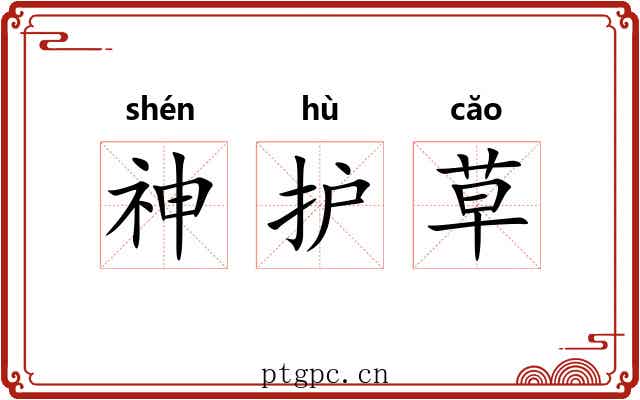神护草
