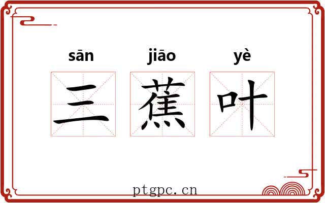 三蕉叶 三蕉叶