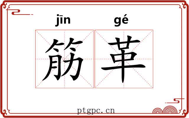筋革