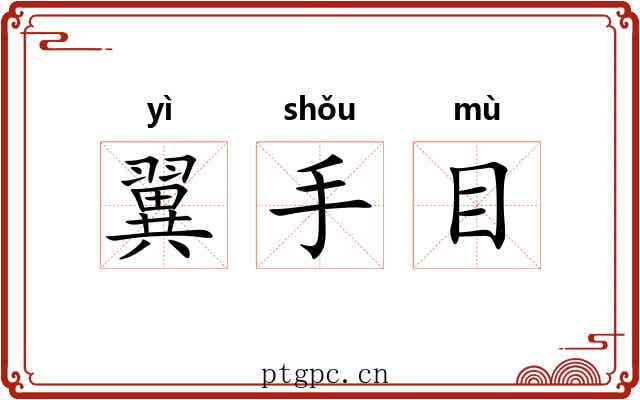 翼手目 翼手目