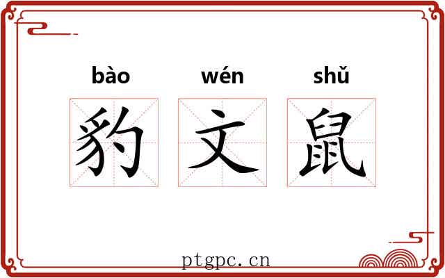 豹文鼠 豹文鼠