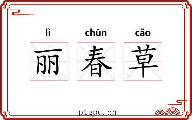 丽春草 丽春草