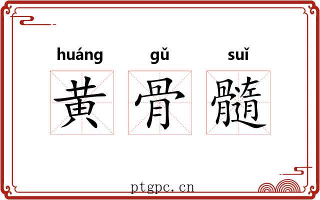 黄骨髓 黄骨髓