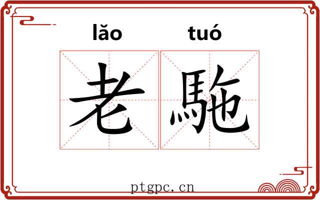 老駞 老駞