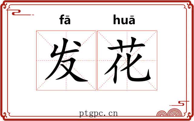 发花 发花