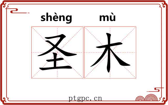 圣木 圣木