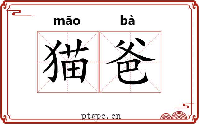 猫爸
