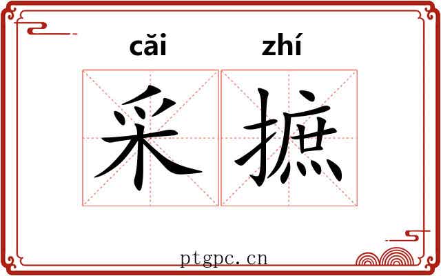 采摭