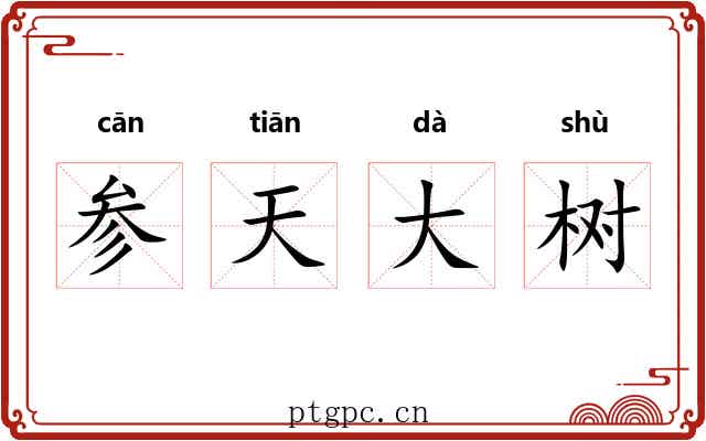 参天大树 参天大树
