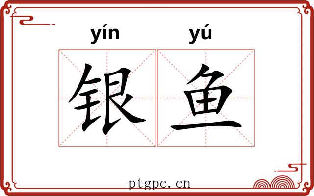 银鱼 银鱼