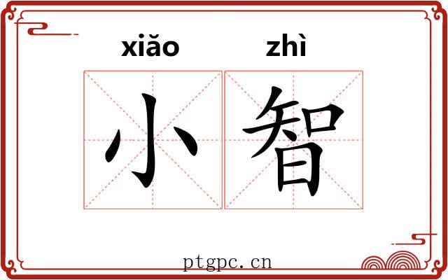 小智