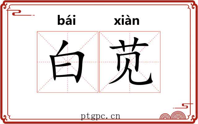 白苋 白苋