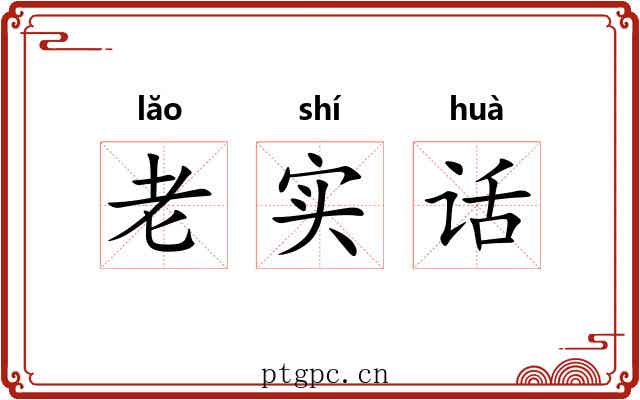 老实话