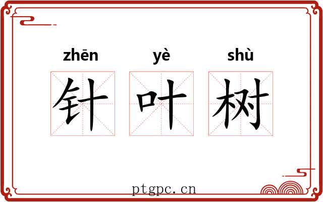 针叶树 针叶树