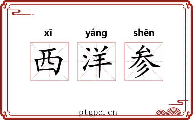 西洋参