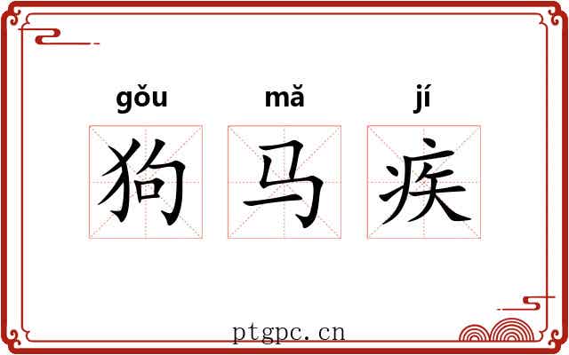 狗马疾 狗马疾