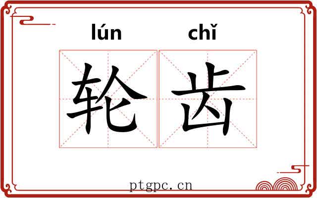 轮齿