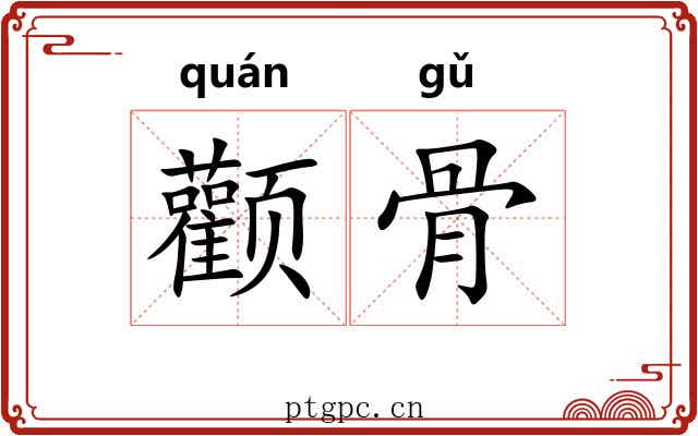 颧骨 颧骨