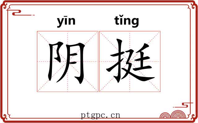 阴挺 阴挺