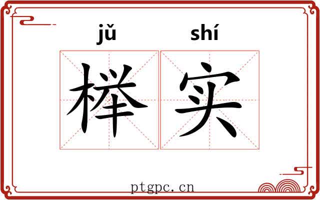 榉实