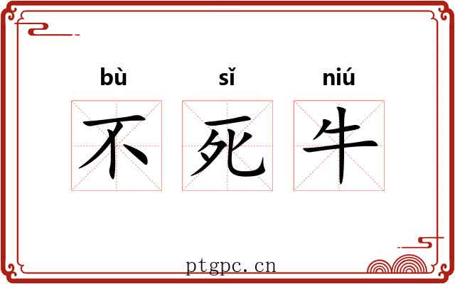 不死牛 不死牛