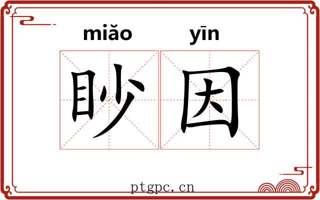 眇因