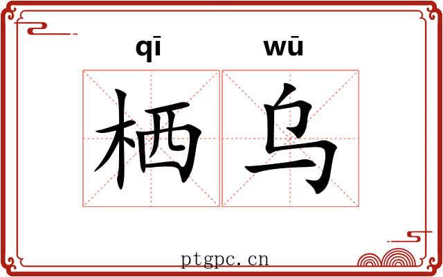 栖乌
