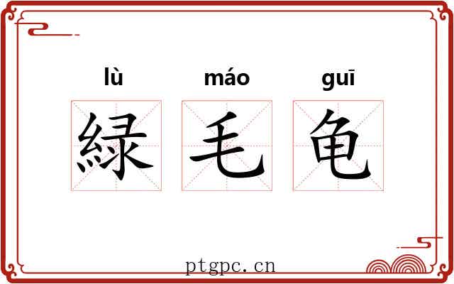 緑毛龟 緑毛龟
