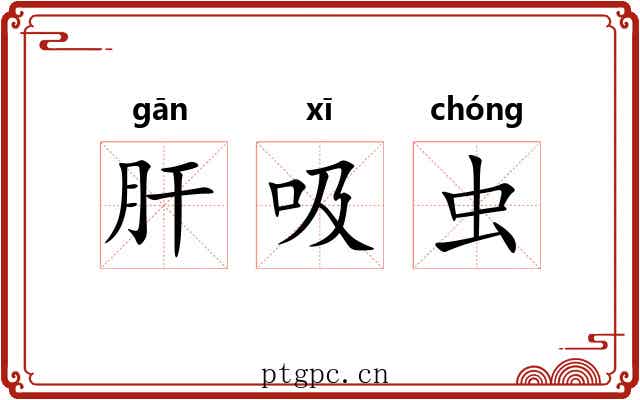 肝吸虫
