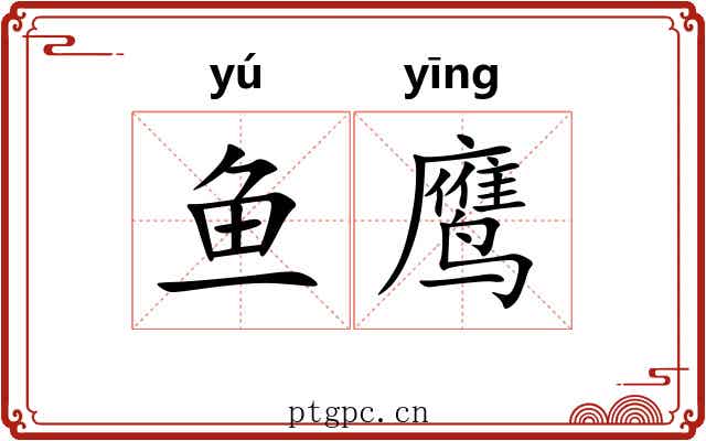 鱼鹰 鱼鹰