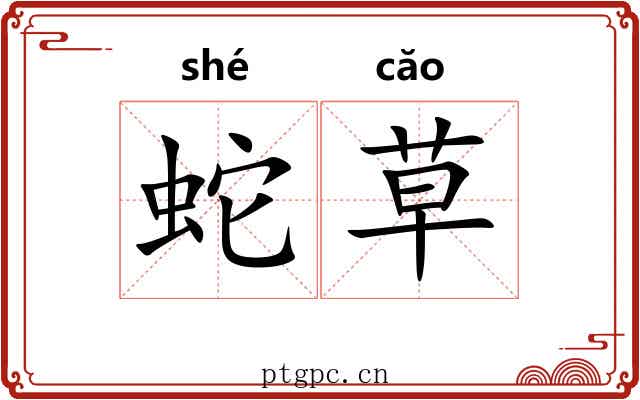 蛇草 蛇草