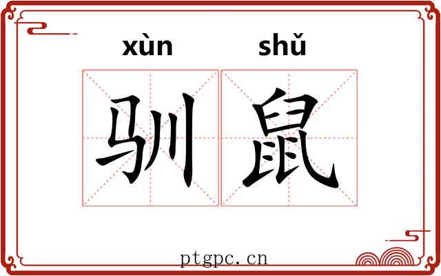 驯鼠