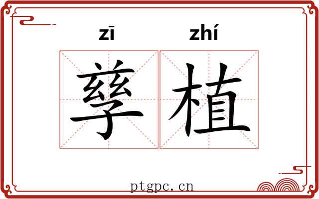 孳植