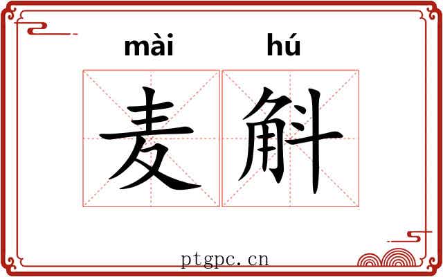 麦斛 麦斛