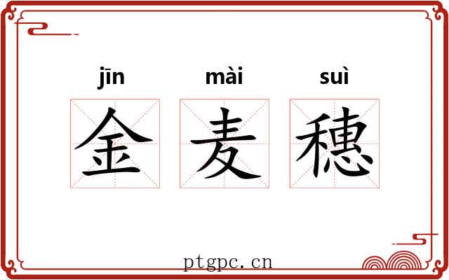 金麦穗 金麦穗