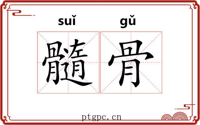 髓骨 髓骨