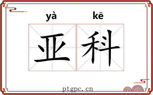 亚科