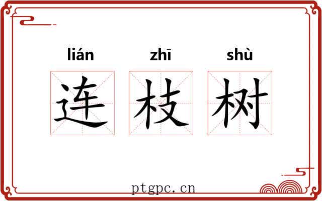 连枝树 连枝树