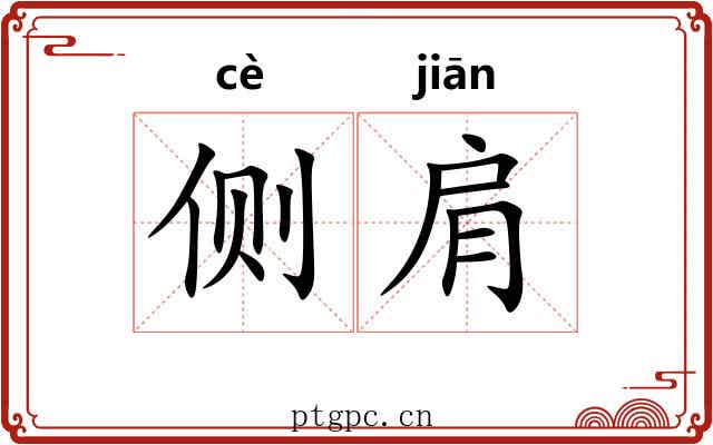 侧肩