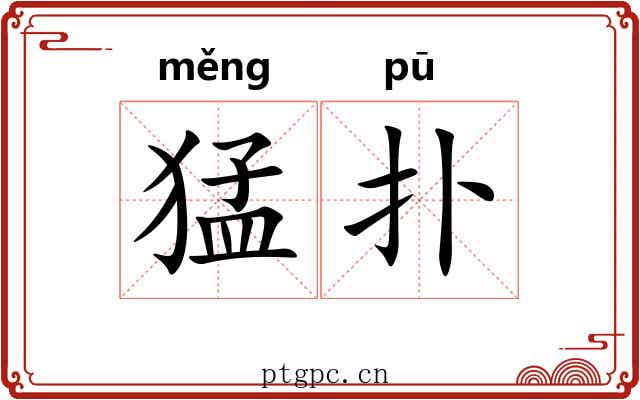 猛扑