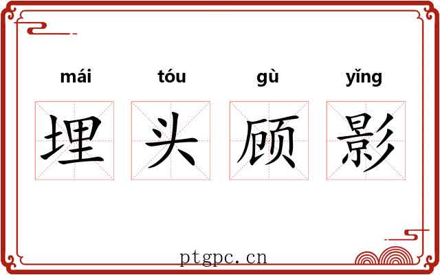 埋头顾影 埋头顾影