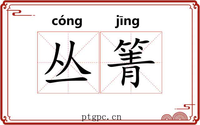 丛箐