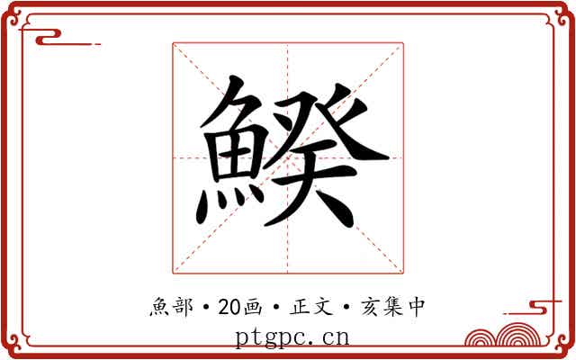 𩹍