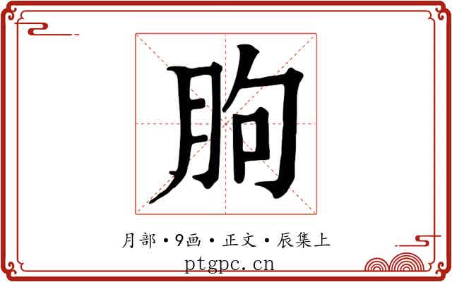 朐