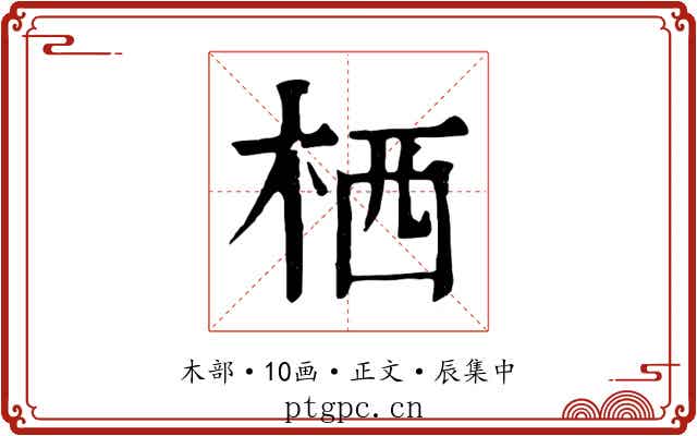 栖