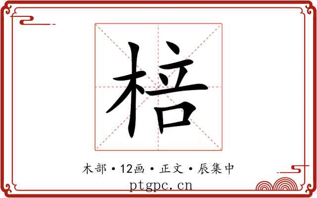 棓