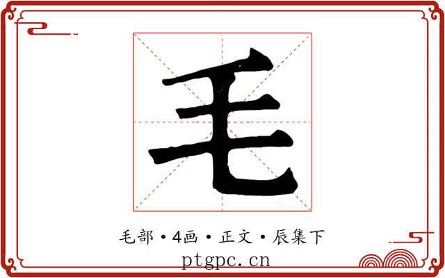 毛