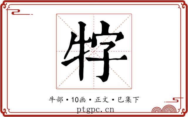 牸