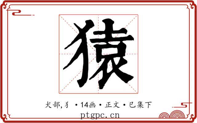 猿