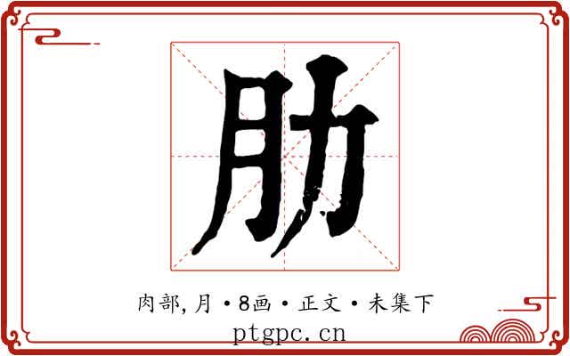 肋